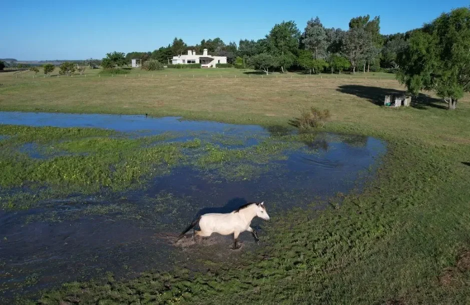 Chacra en José Ignacio, propiedad 297151 -Imagen 17