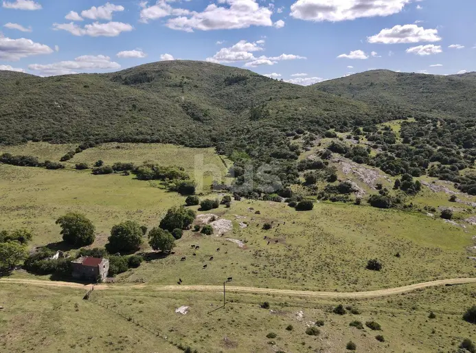 imagen  de la propiedad 288514