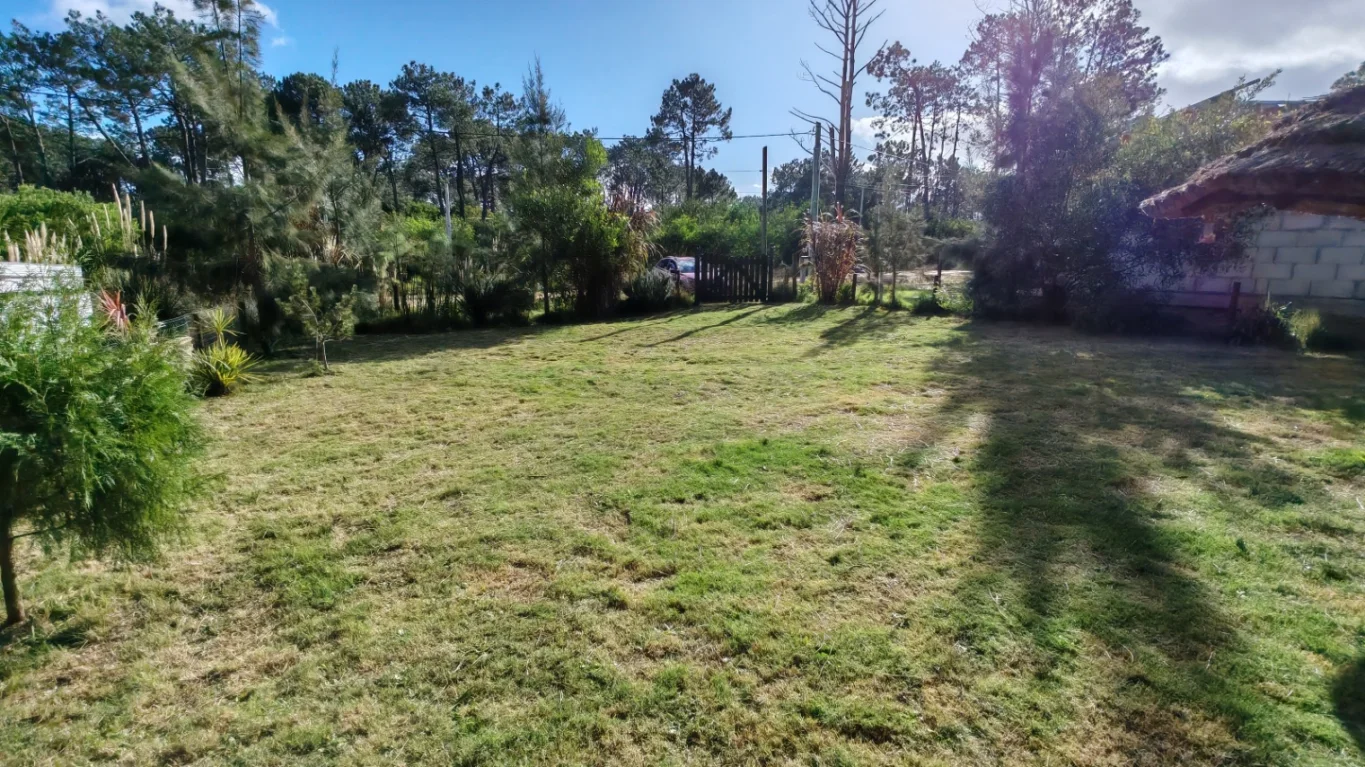 Terreno en La Paloma, propiedad 273749 -Imagen 3
