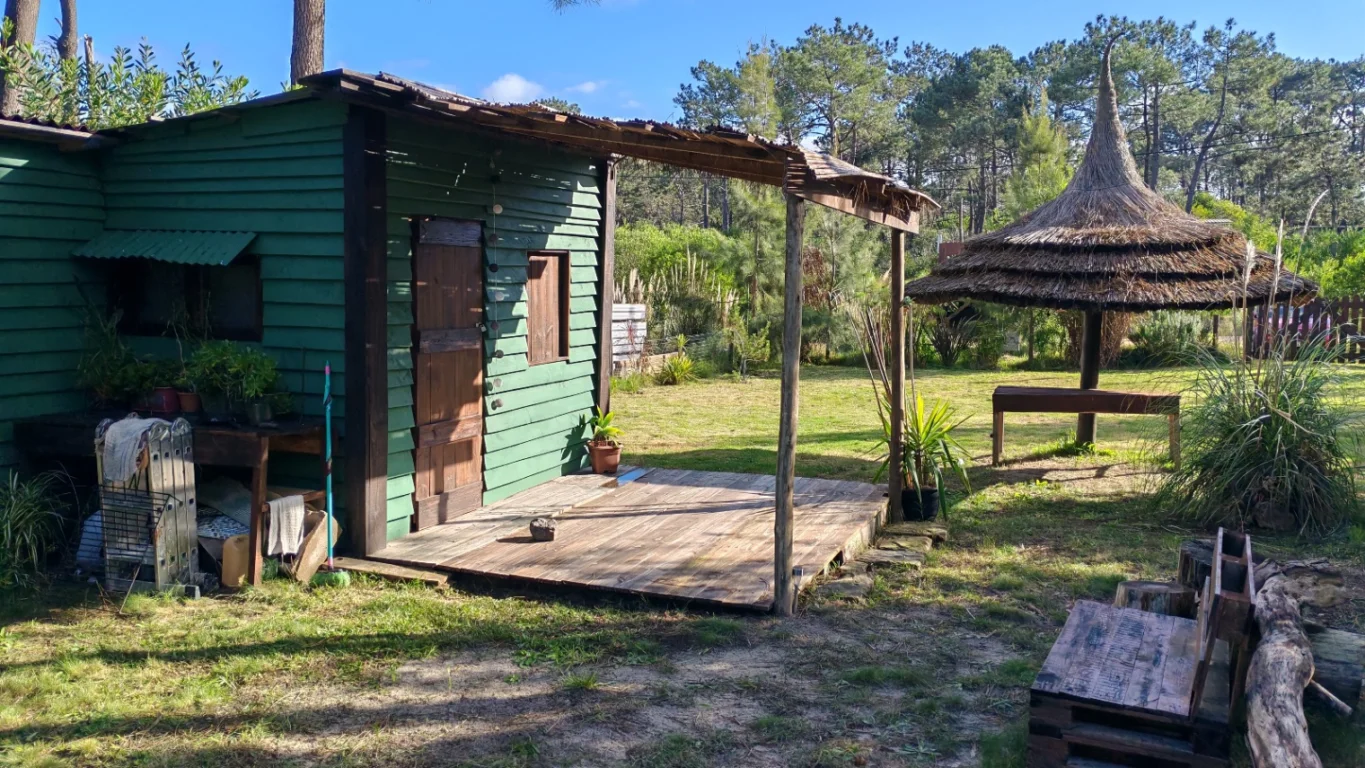 Terreno en La Paloma, propiedad 273749 -Imagen 5