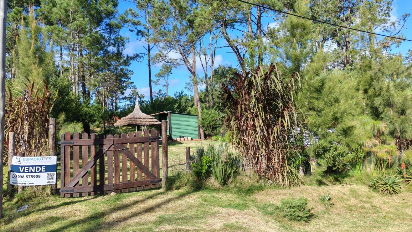 Terreno en La Paloma, propiedad 273749 -Imagen 9