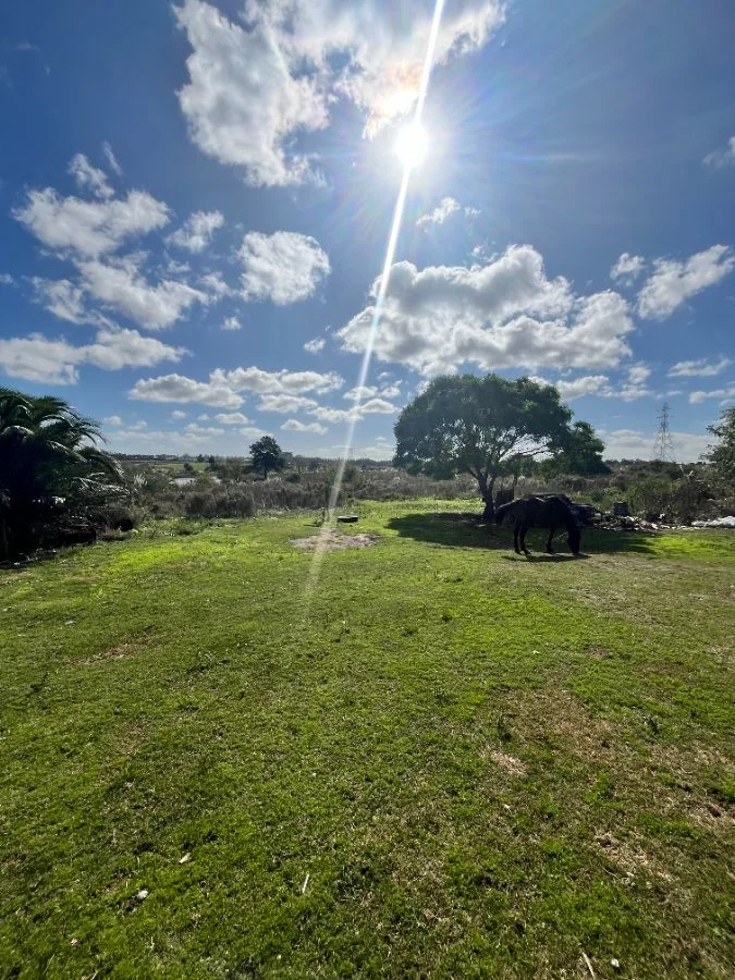 Terreno en Empalme Nicolich, propiedad 295368 -Imagen 4