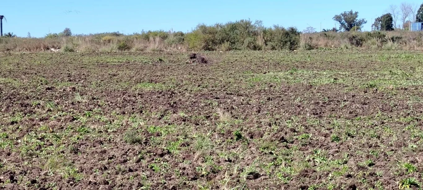 Terreno en Empalme Nicolich, propiedad 295368 -Imagen 7