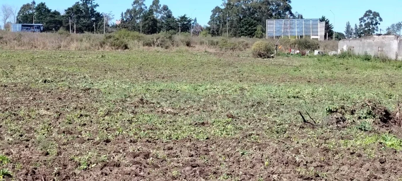 Terreno en Empalme Nicolich, propiedad 98188 -Imagen 8
