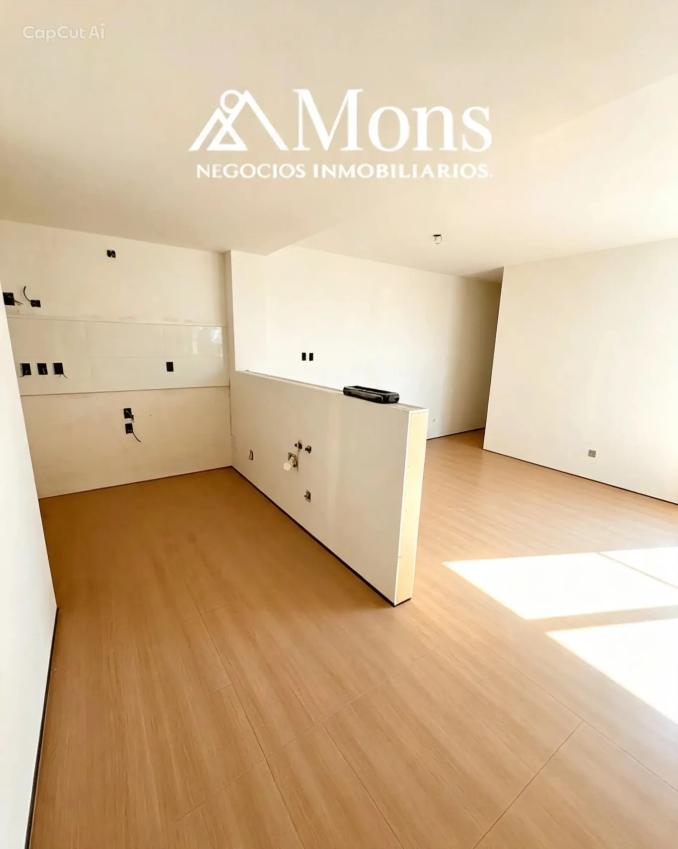 Apartamento en Centro, propiedad 295748 -Imagen 2