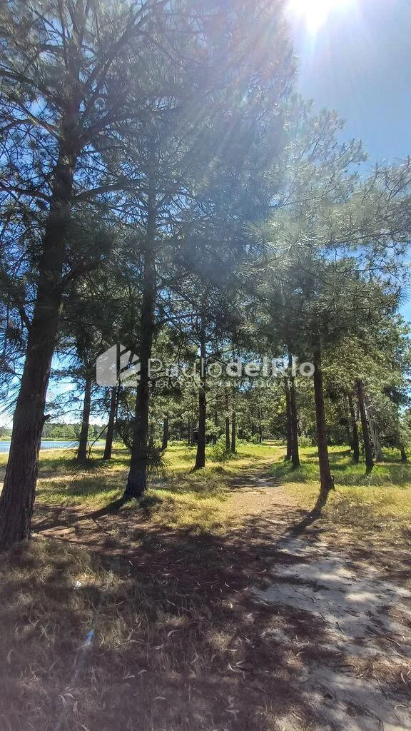 Apartamento en Parque Carrasco, propiedad 260587 -Imagen 13