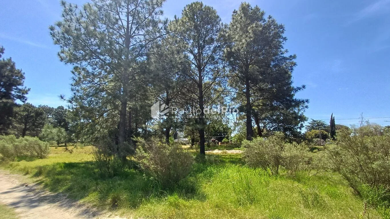 Apartamento en Parque Carrasco, propiedad 260592 -Imagen 15