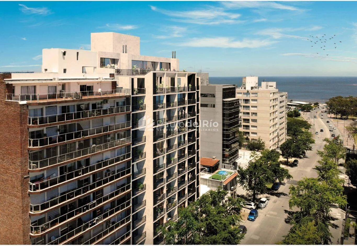 Apartamento en Parque Rodó, propiedad 264882 -Imagen 1