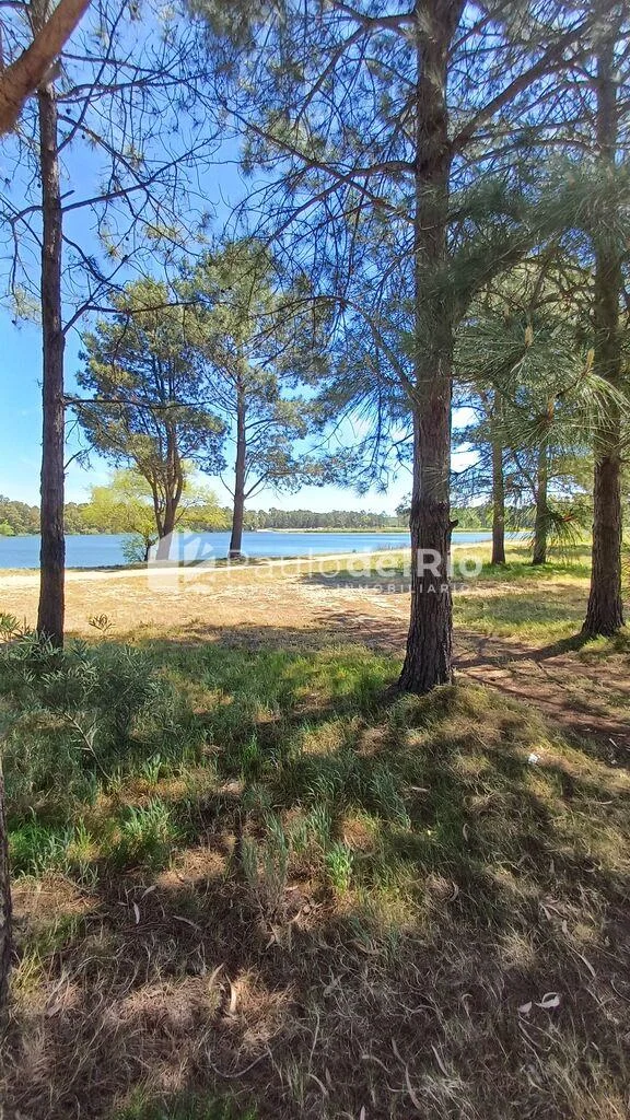 Apartamento en Parque Carrasco, propiedad 272688 -Imagen 4