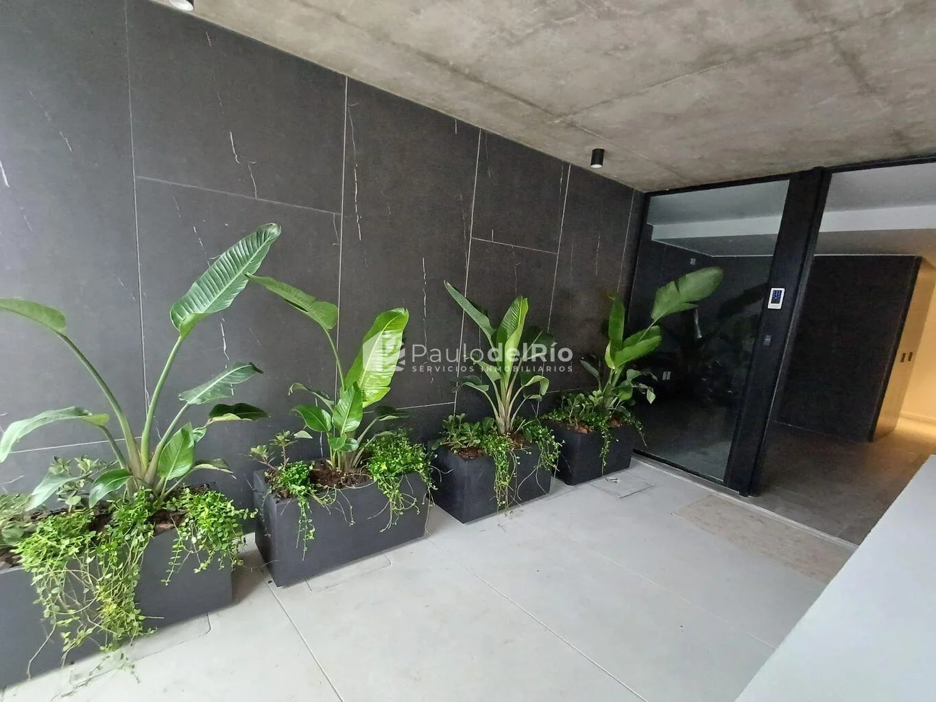 Apartamento en Parque Batlle, propiedad 284476 -Imagen 10