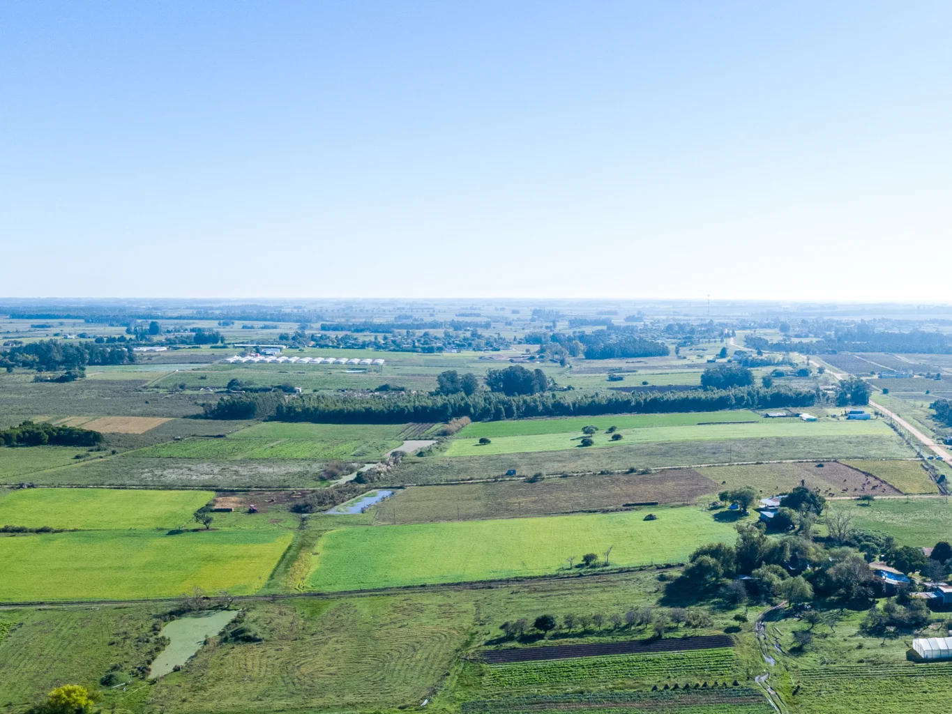 Campo en Totoral del Sauce, propiedad 260030 -Imagen 6