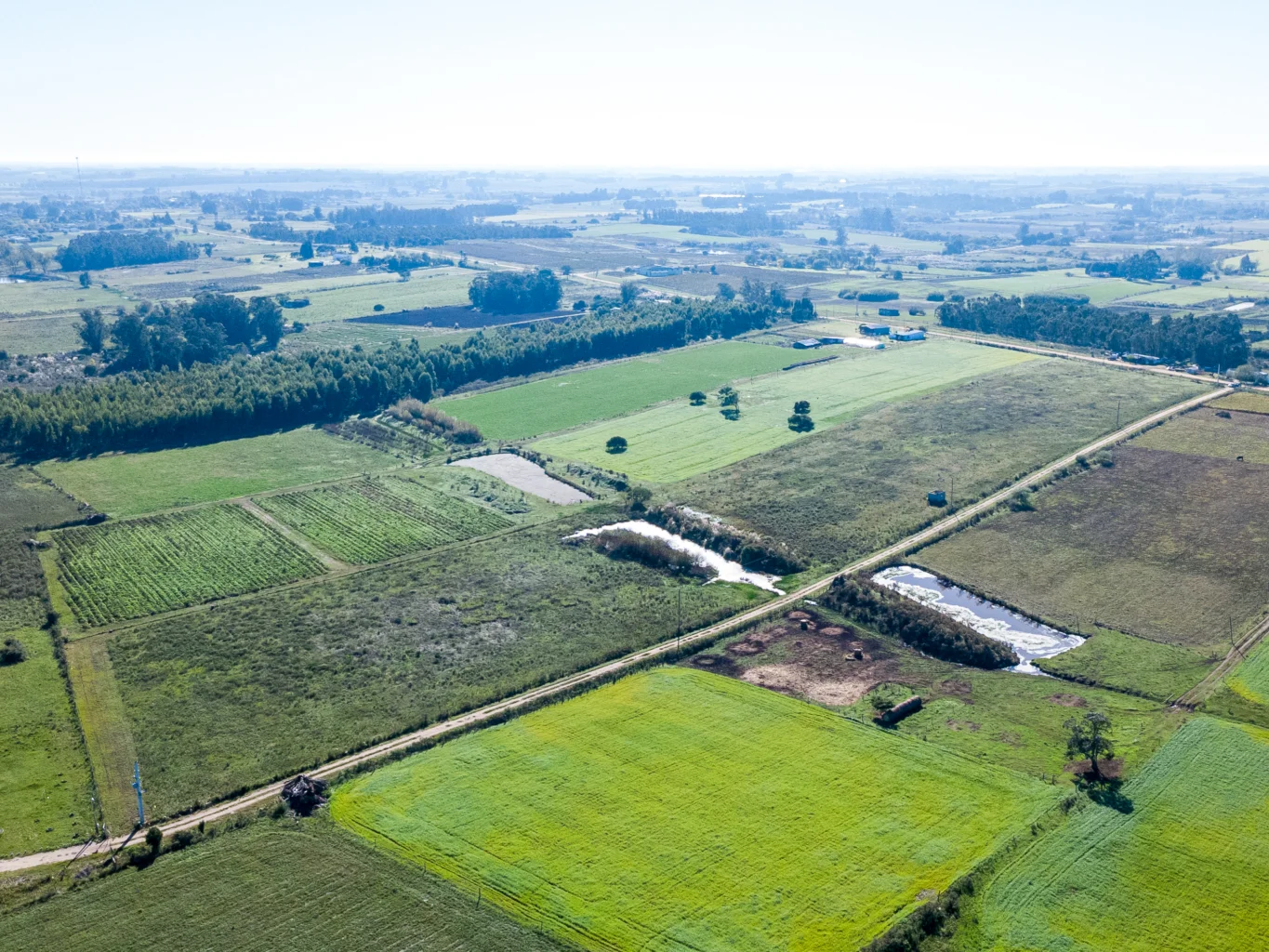 Campo en Totoral del Sauce, propiedad 260030 -Imagen 8