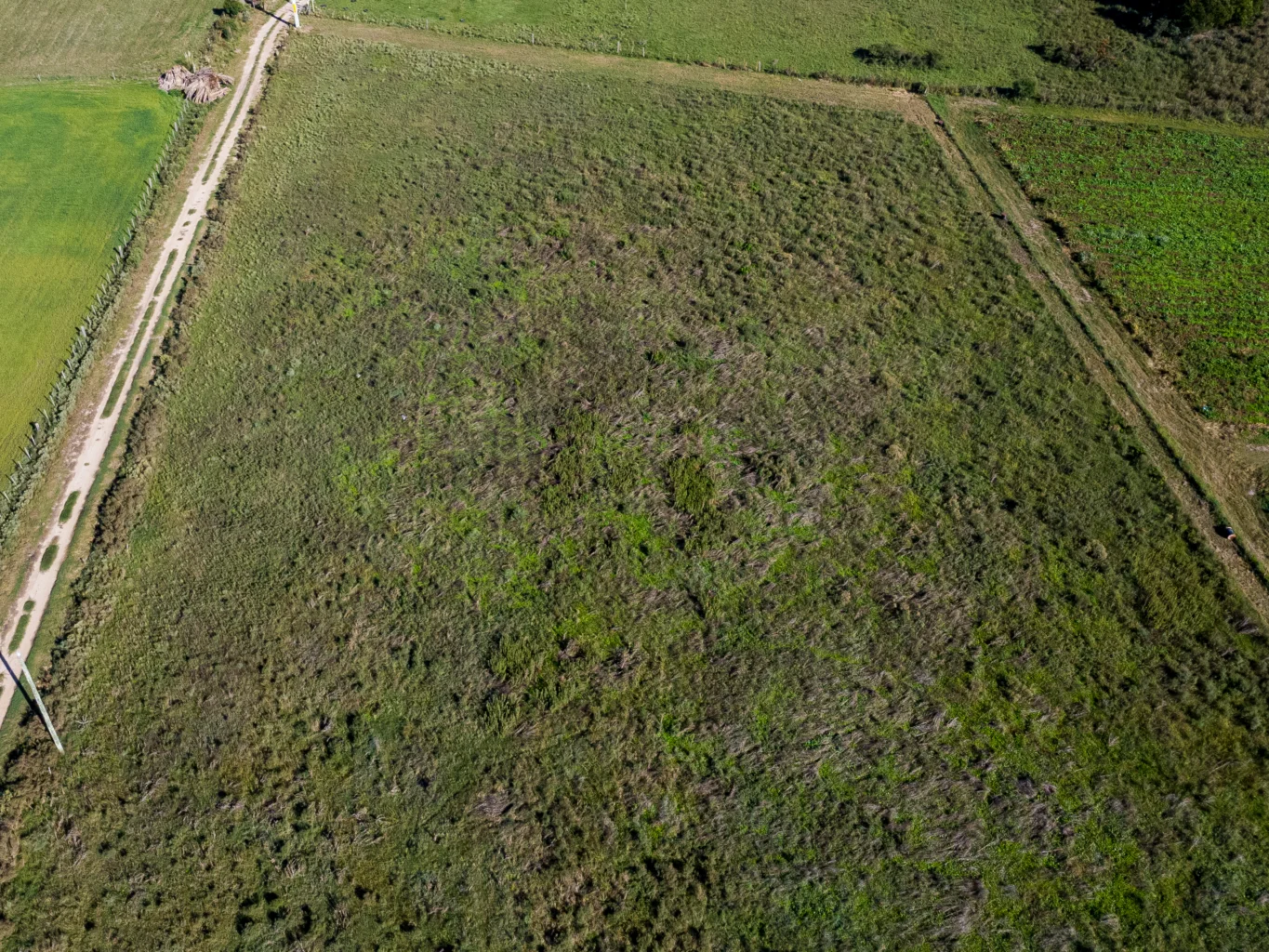 Campo en Totoral del Sauce, propiedad 260030 -Imagen 12