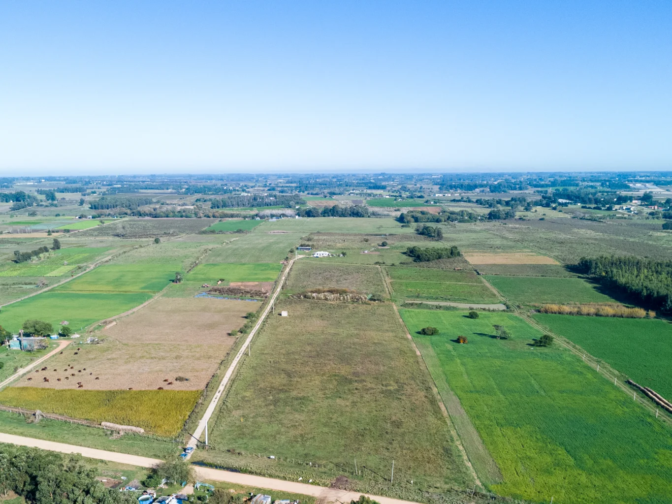 Campo en Totoral del Sauce, propiedad 260030 -Imagen 9