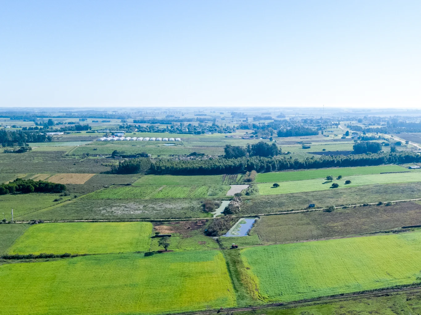 Campo en Totoral del Sauce, propiedad 260030 -Imagen 4