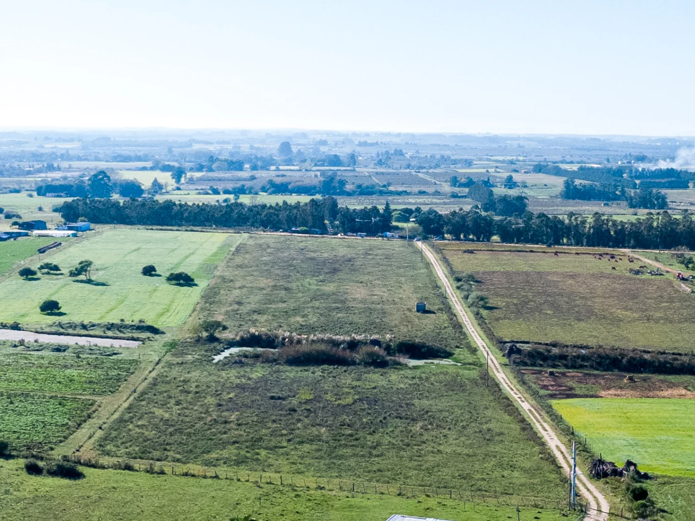 Campo en Totoral del Sauce, propiedad 260030 -Imagen 3