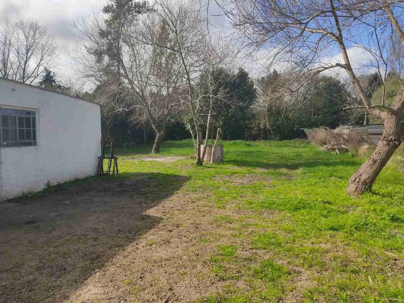Local en Empalme Olmos, propiedad 267061 -Imagen 3