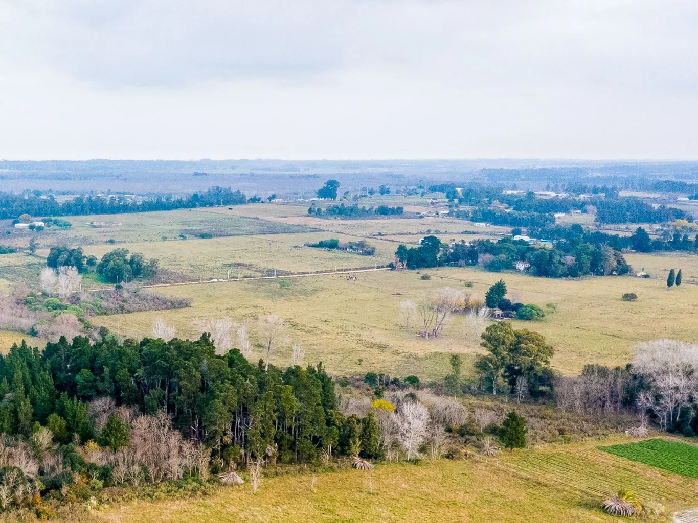 Campo en Rincon de Pando, propiedad 272916 -Imagen 1