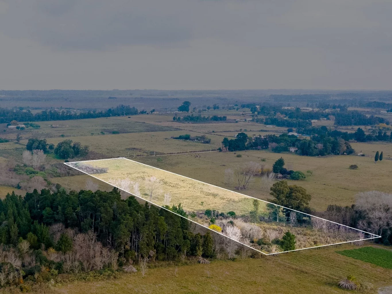 Campo en Rincon de Pando, propiedad 272916 -Imagen 3