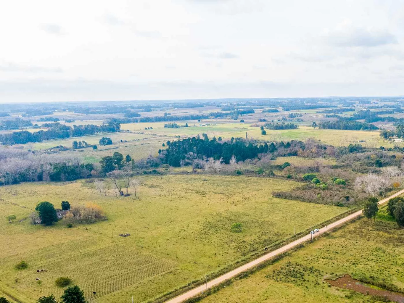 Campo en Rincon de Pando, propiedad 272916 -Imagen 4