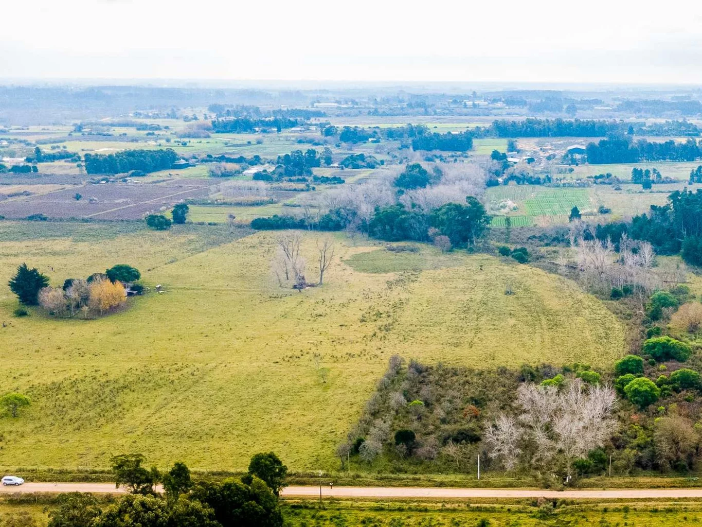 Campo en Rincon de Pando, propiedad 272916 -Imagen 6