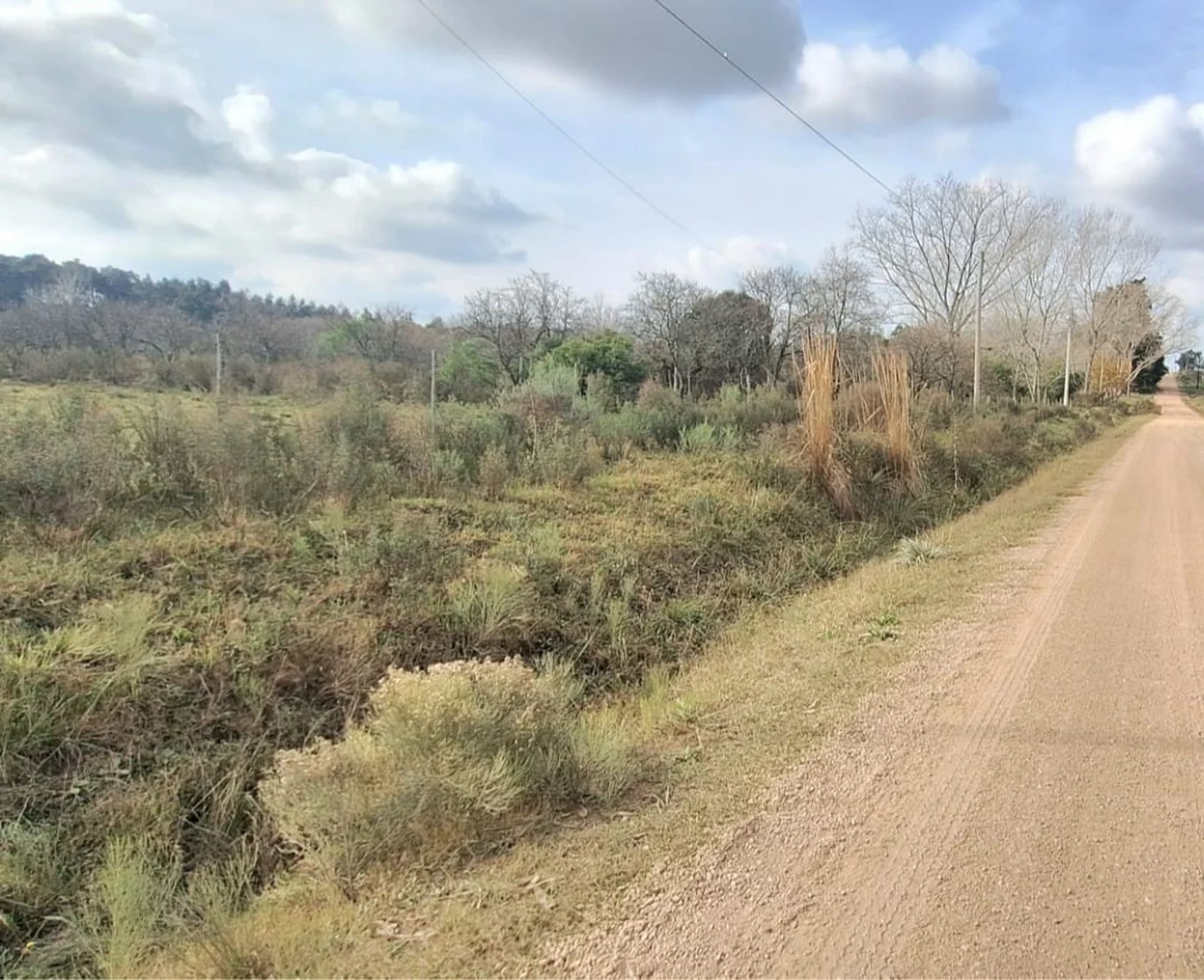Campo en Rincon de Pando, propiedad 272916 -Imagen 7