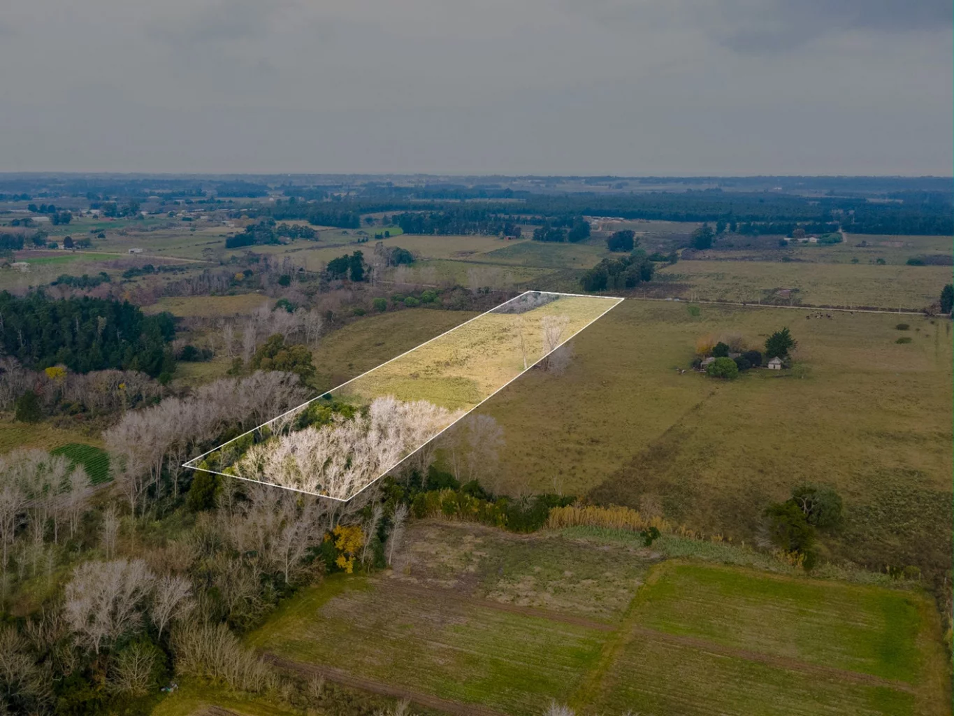 Campo en Rincon de Pando, propiedad 272916 -Imagen 8