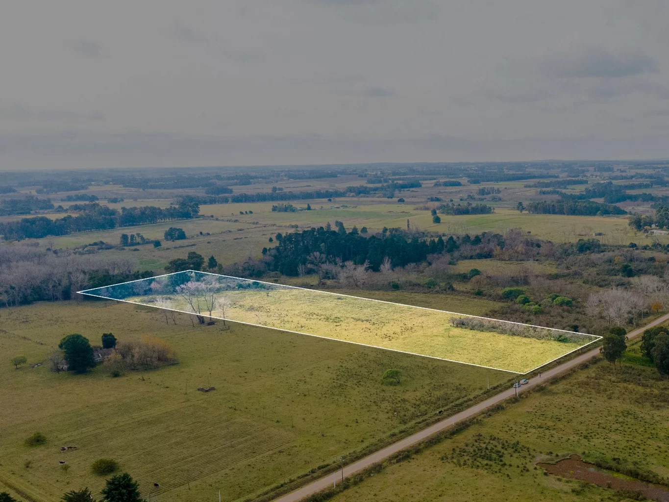 Campo en Rincon de Pando, propiedad 272916 -Imagen 9