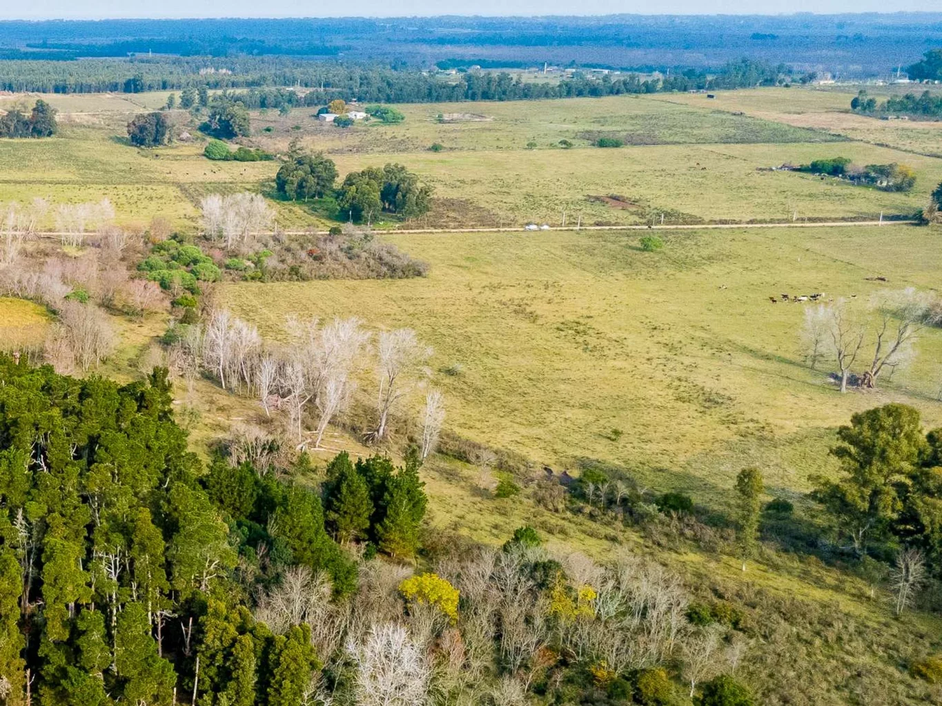 Campo en Rincon de Pando, propiedad 272916 -Imagen 10