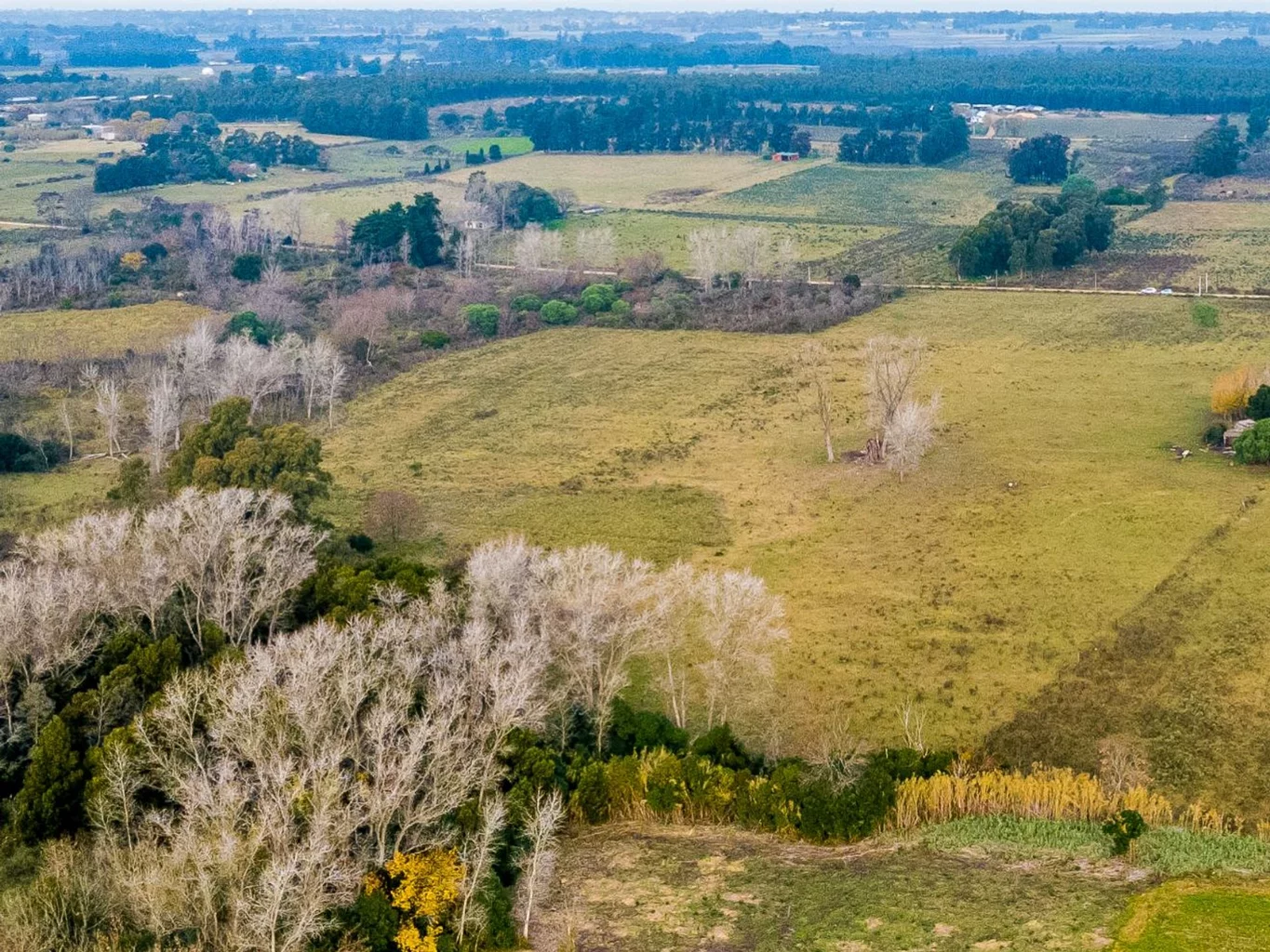 Campo en Rincon de Pando, propiedad 272916 -Imagen 12
