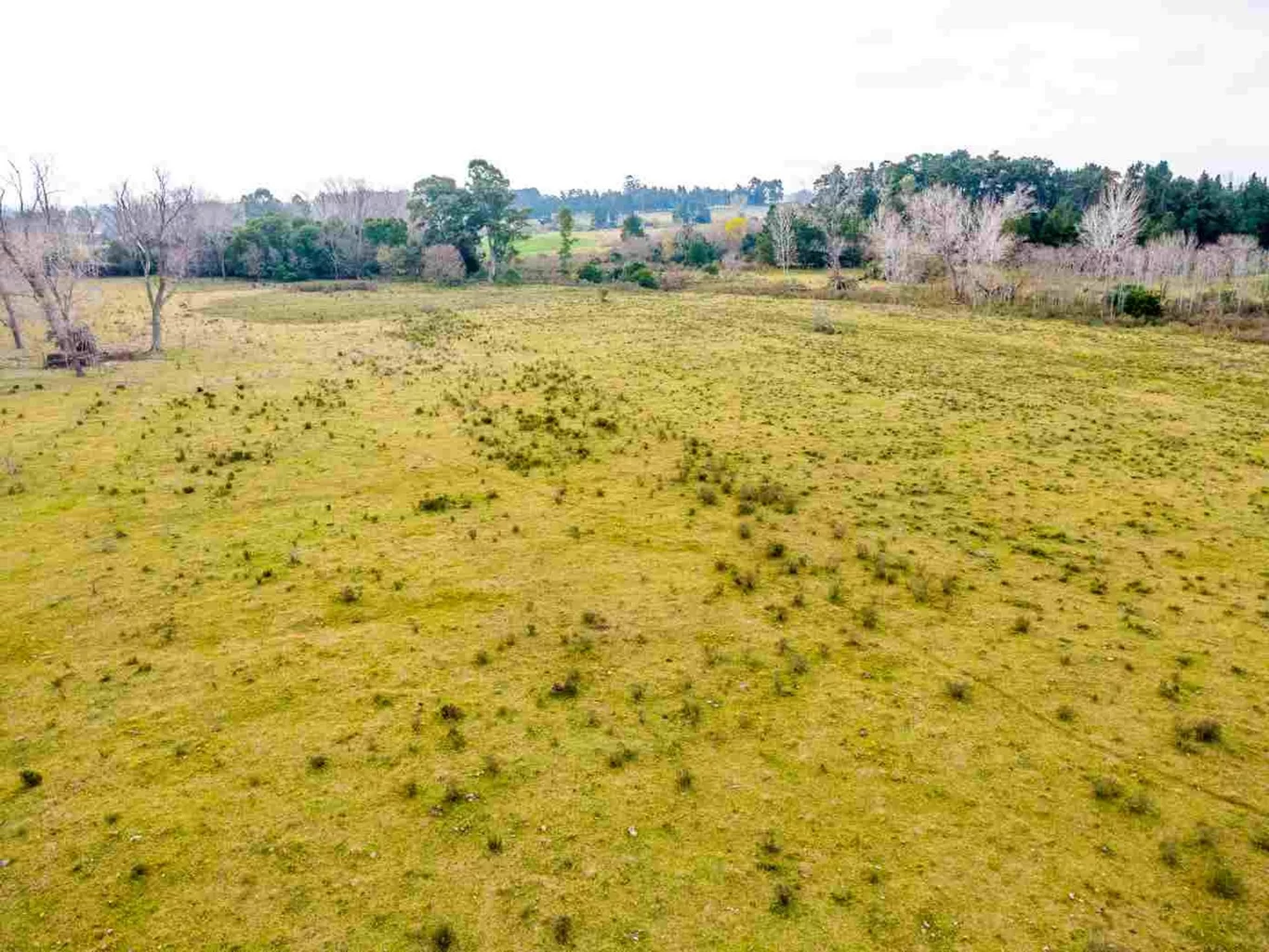 Campo en Rincon de Pando, propiedad 272916 -Imagen 13