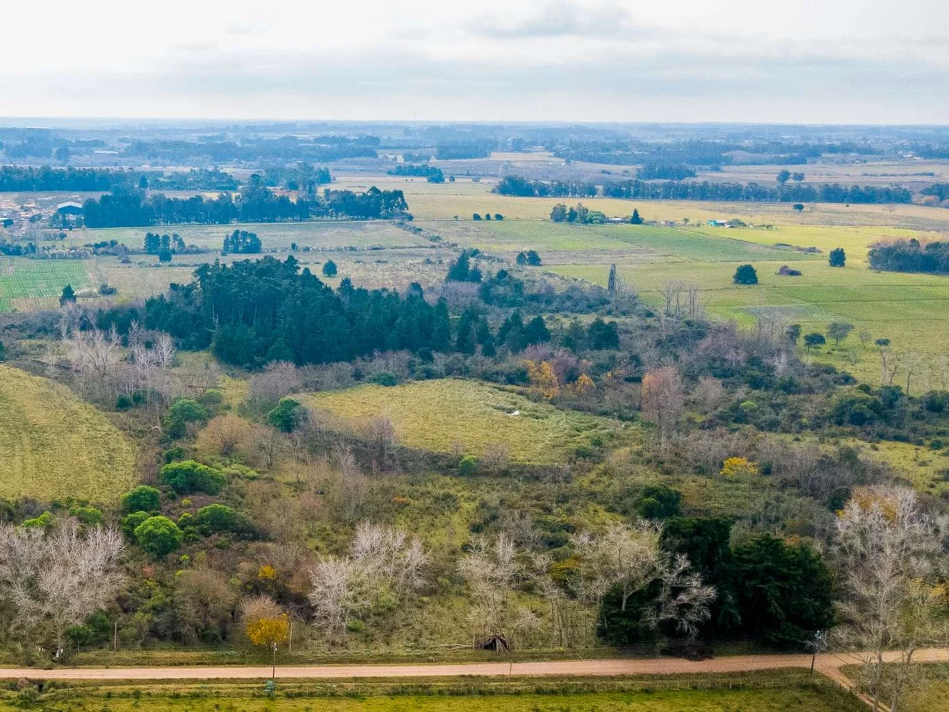 Campo en Rincon de Pando, propiedad 273689 -Imagen 4