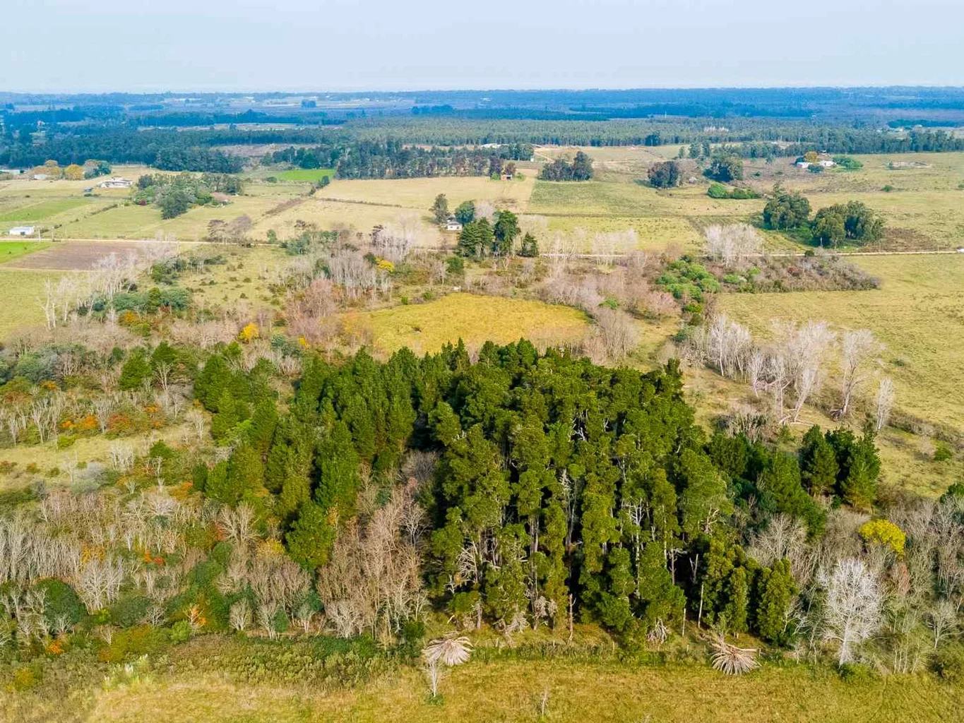 Campo en Rincon de Pando, propiedad 273689 -Imagen 5