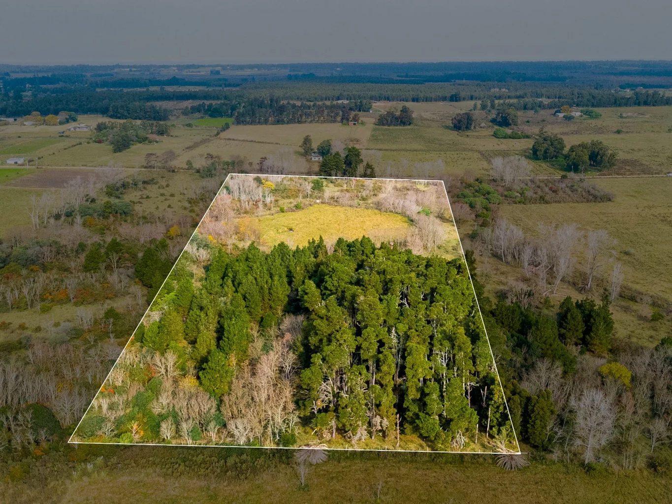 Campo en Rincon de Pando, propiedad 273689 -Imagen 6