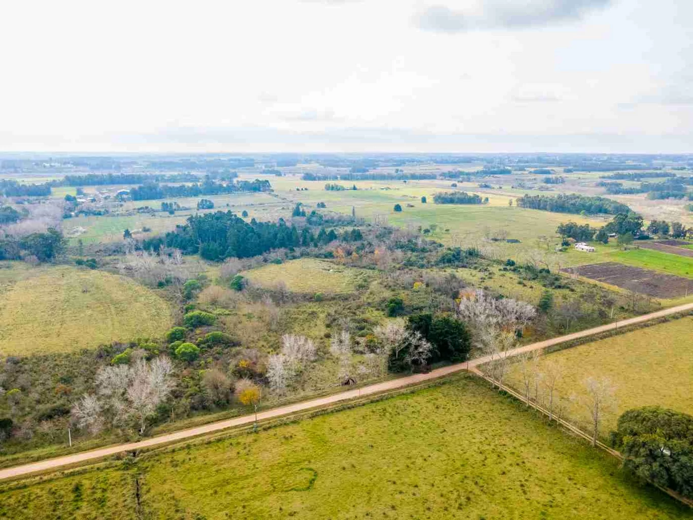 Campo en Rincon de Pando, propiedad 273689 -Imagen 7