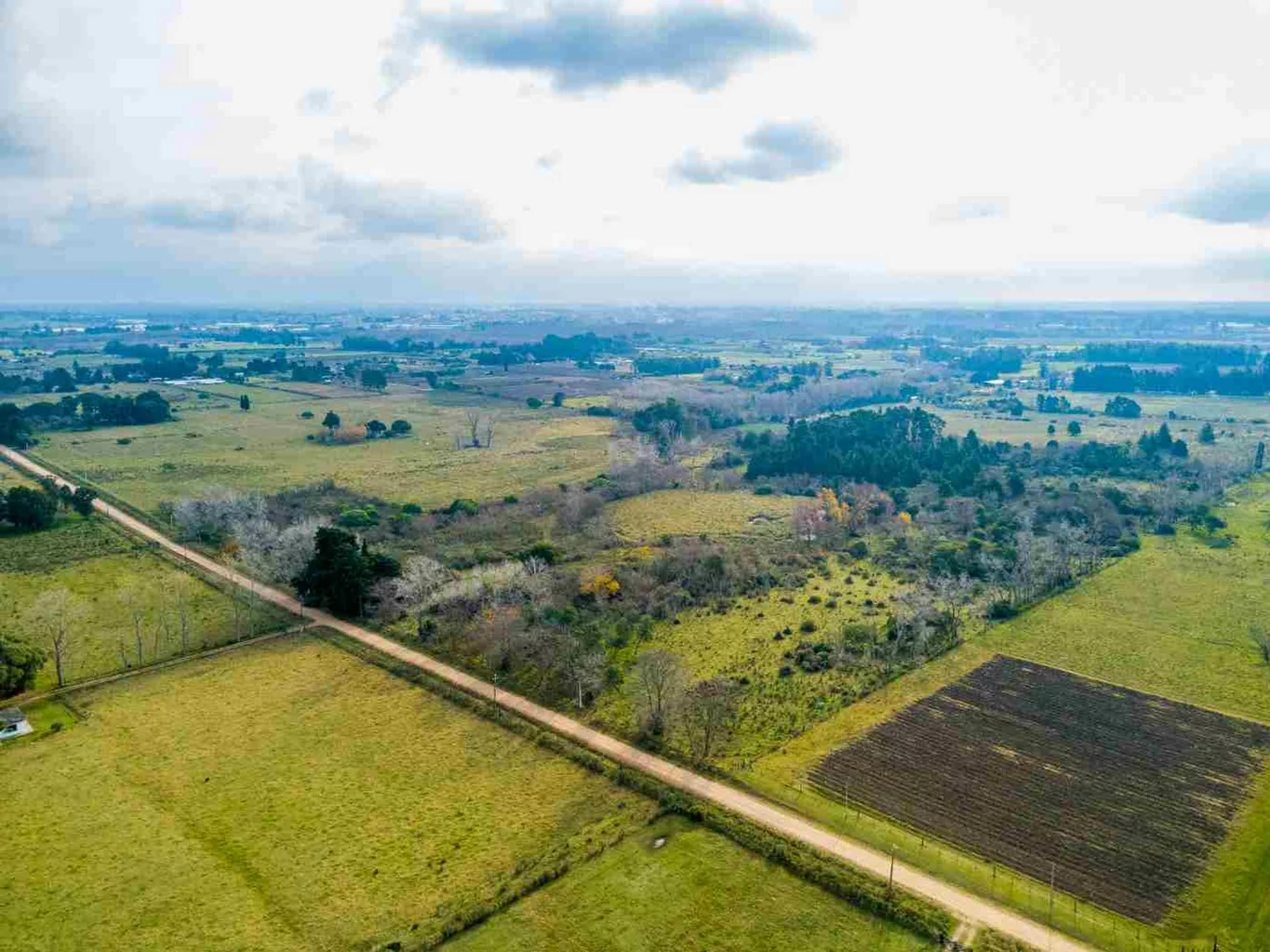 Campo en Rincon de Pando, propiedad 273689 -Imagen 8