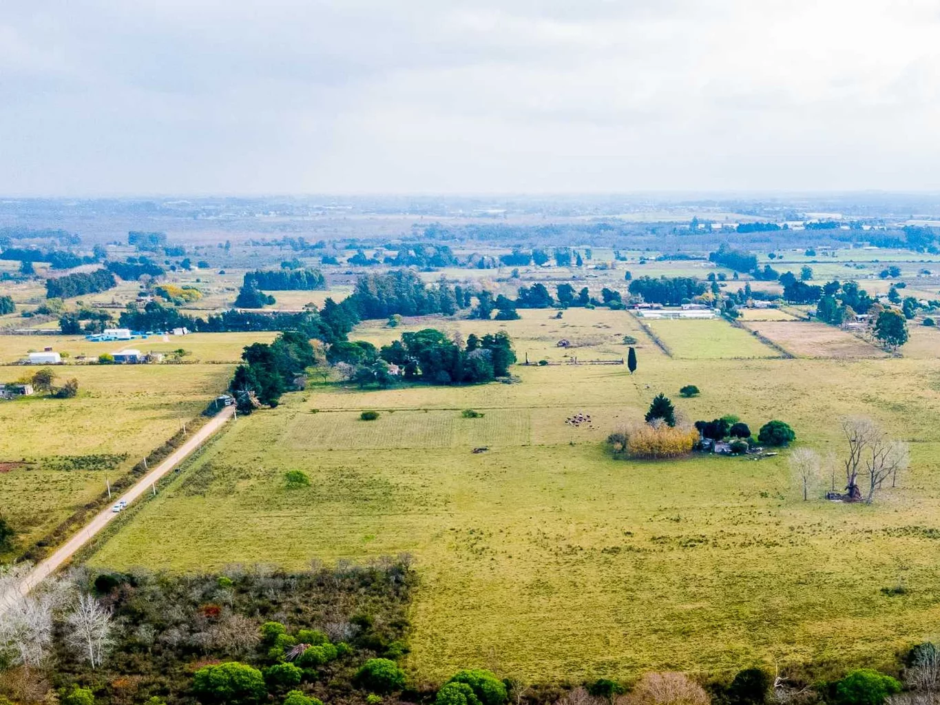 Campo en Rincon de Pando, propiedad 273689 -Imagen 9