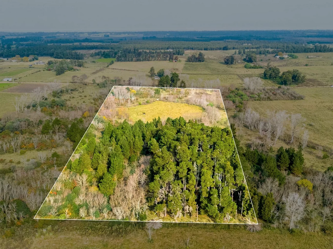 Campo en Rincon de Pando, propiedad 273689 -Imagen 10