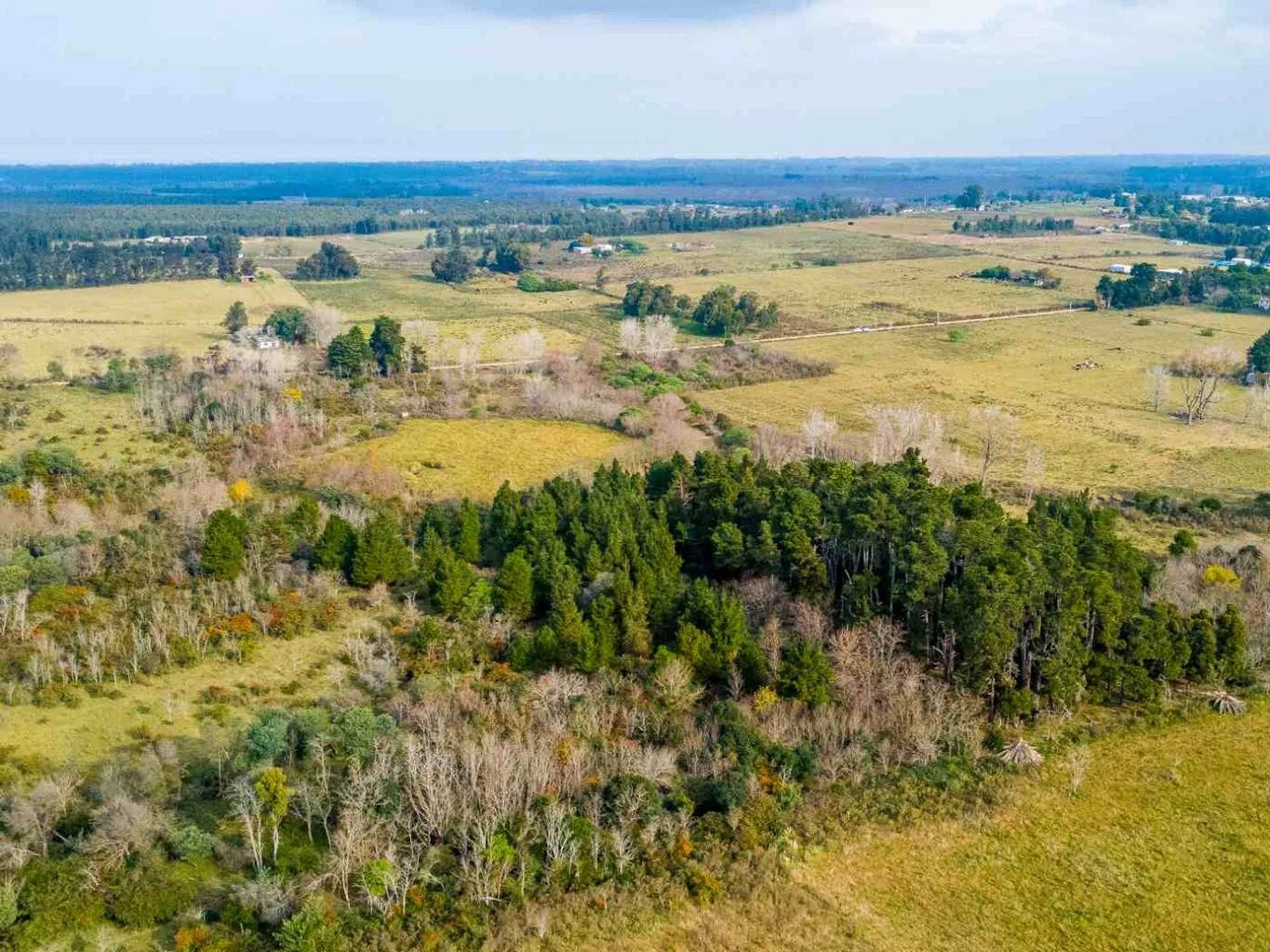 Campo en Rincon de Pando, propiedad 273689 -Imagen 11
