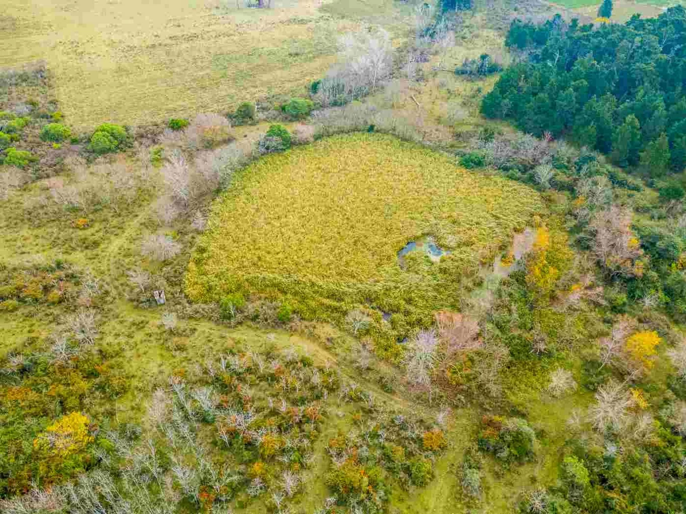 Campo en Rincon de Pando, propiedad 273689 -Imagen 12