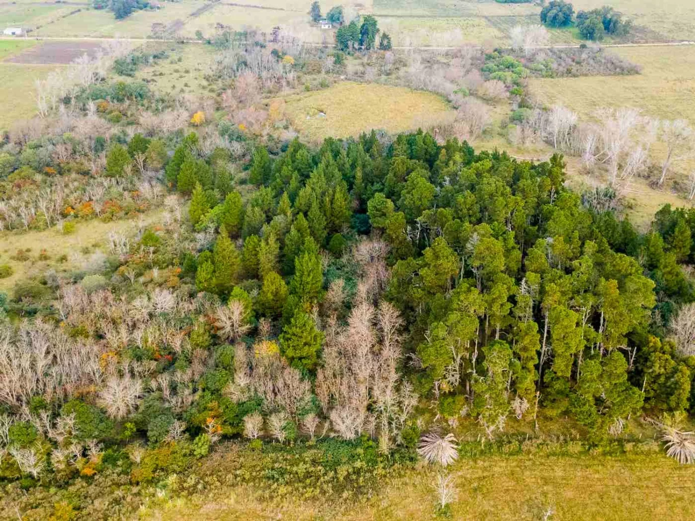 Campo en Rincon de Pando, propiedad 273689 -Imagen 13