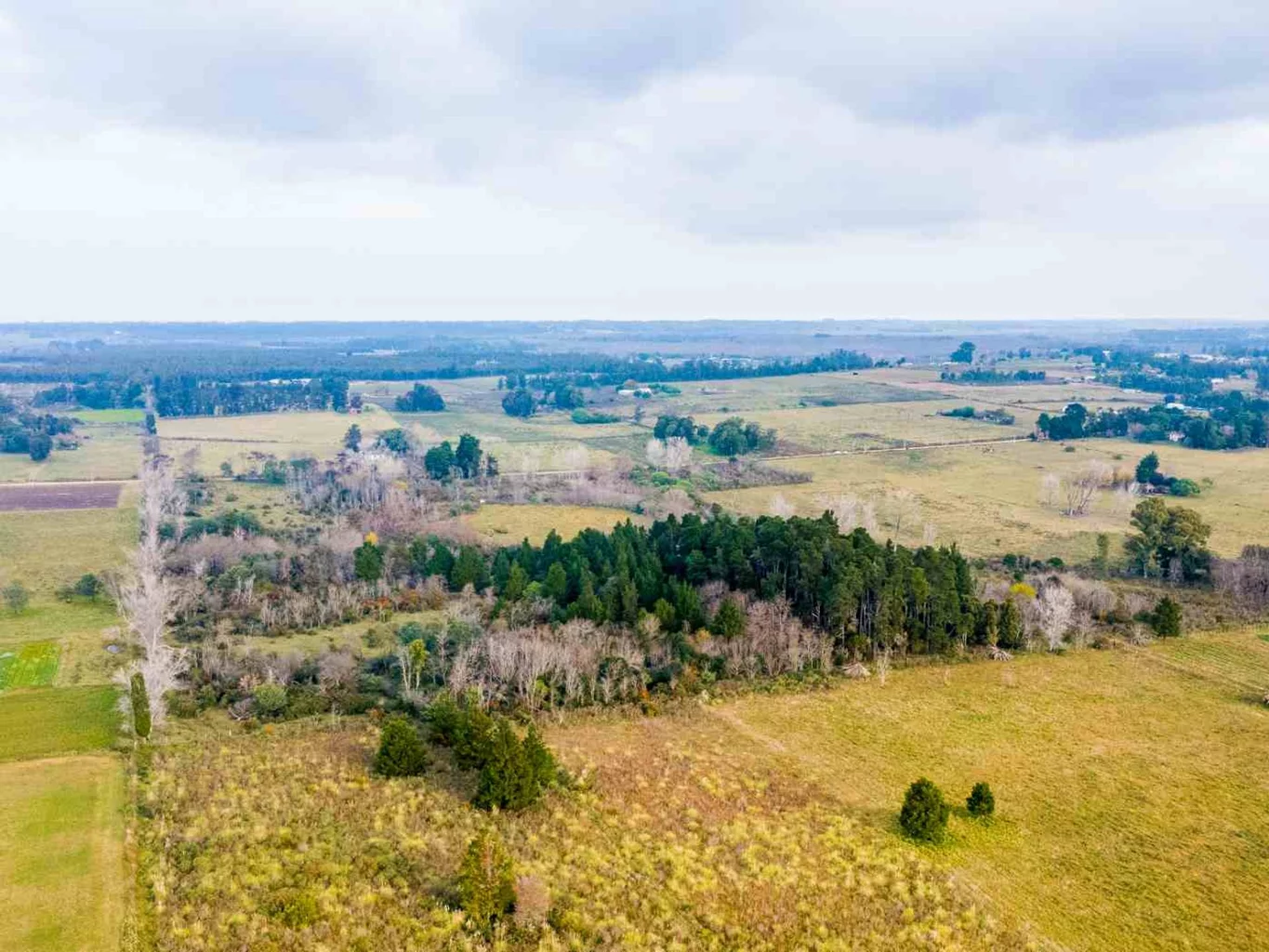 Campo en Rincon de Pando, propiedad 273689 -Imagen 14