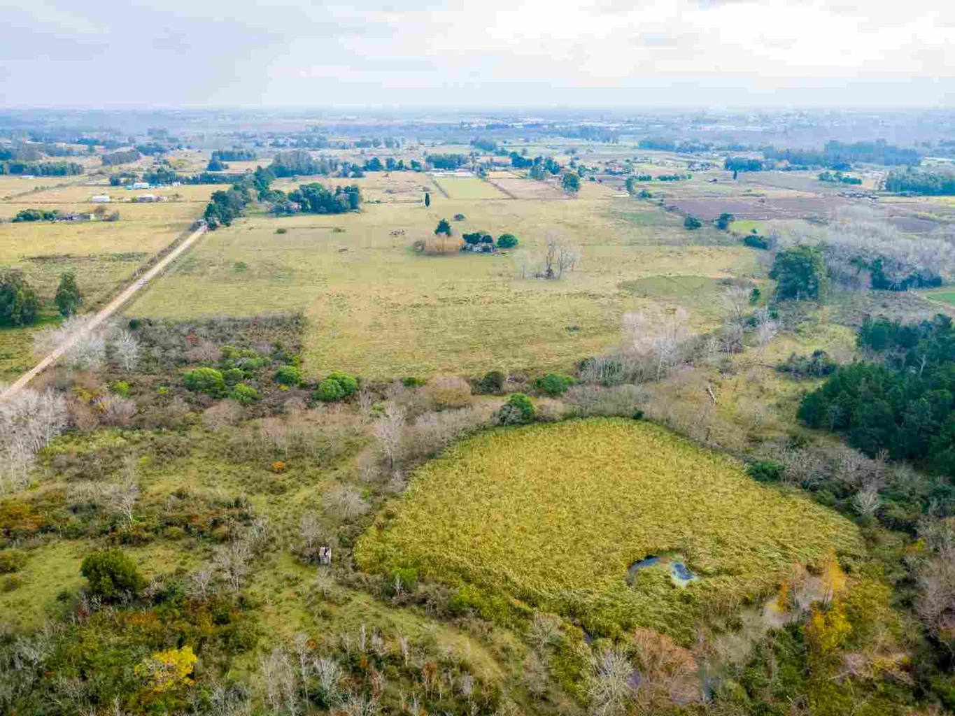 Campo en Rincon de Pando, propiedad 273689 -Imagen 16
