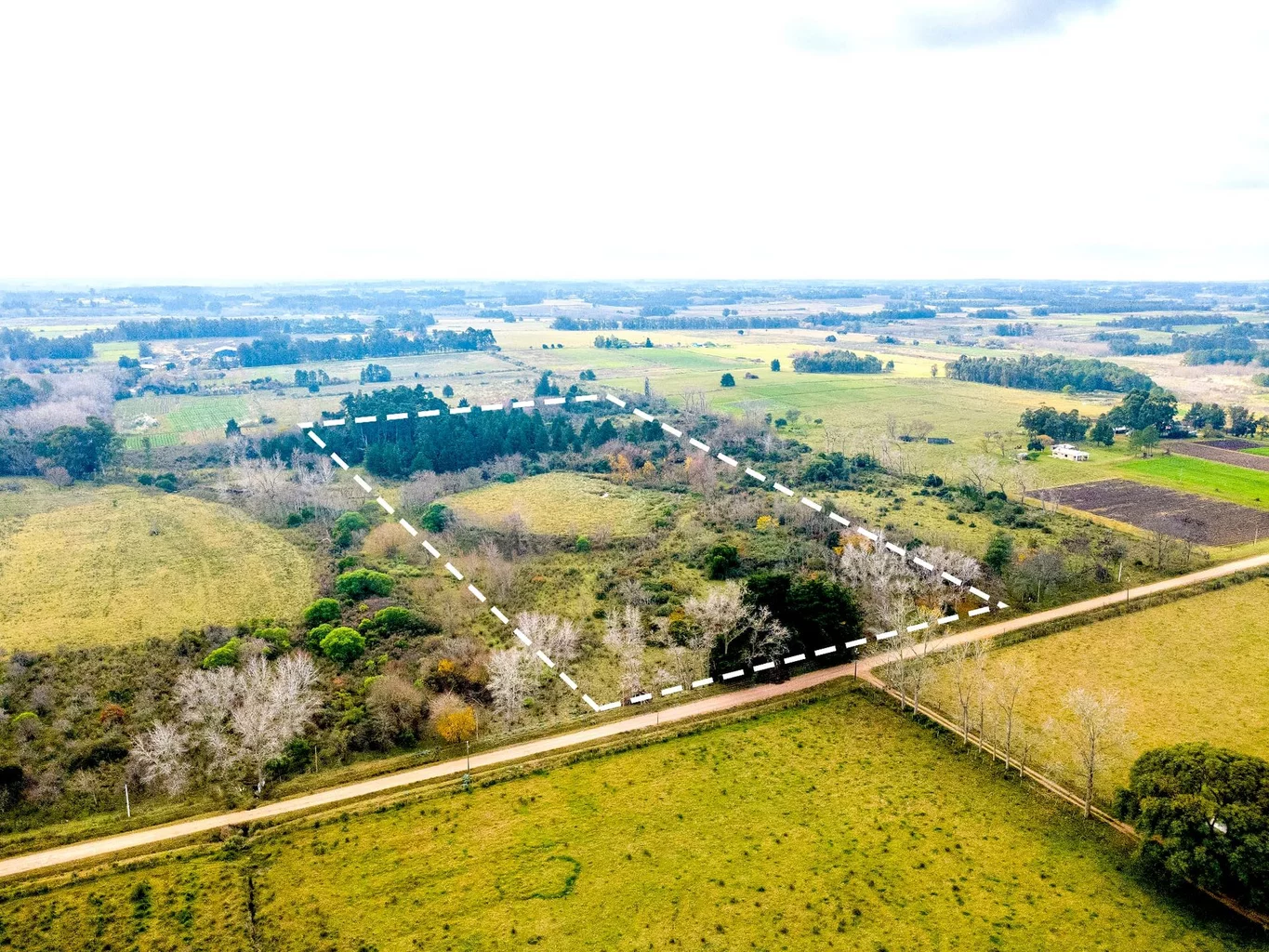 Campo en Rincon de Pando, propiedad 273689 -Imagen 17