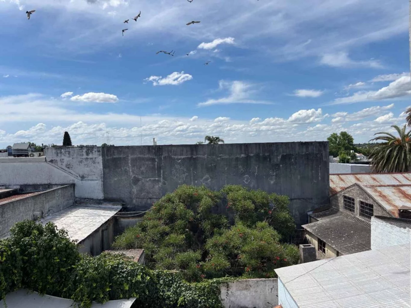 Apartamento en Pando, propiedad 274565 -Imagen 25