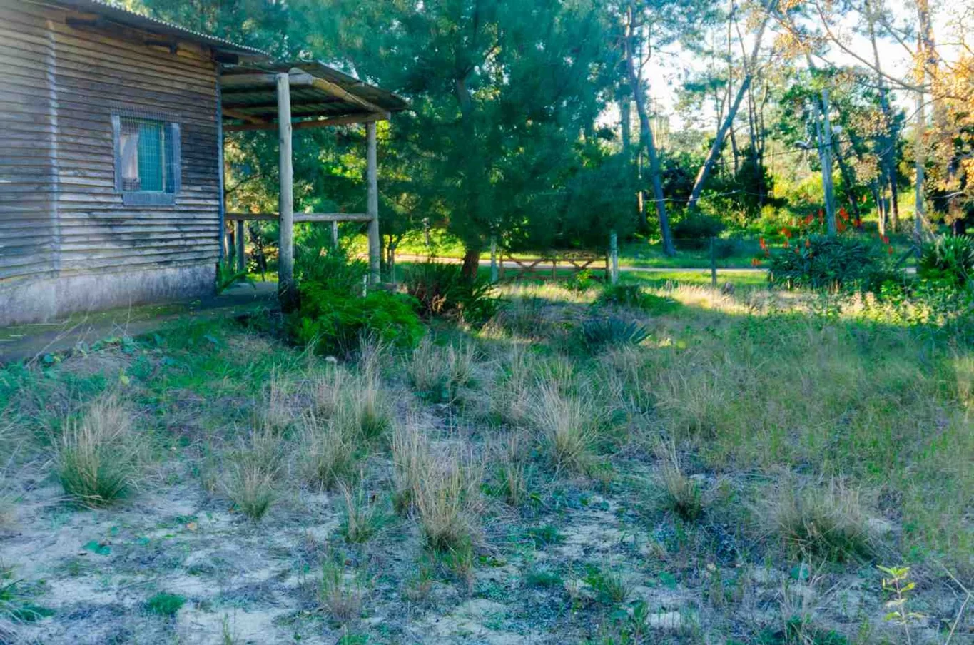 Terreno en Pinamar, propiedad 274798 -Imagen 15