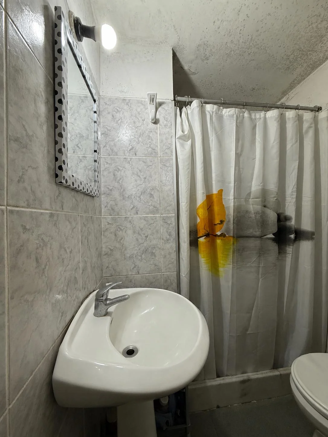 Apartamento en Cordón Sur, propiedad 284137 -Imagen 5