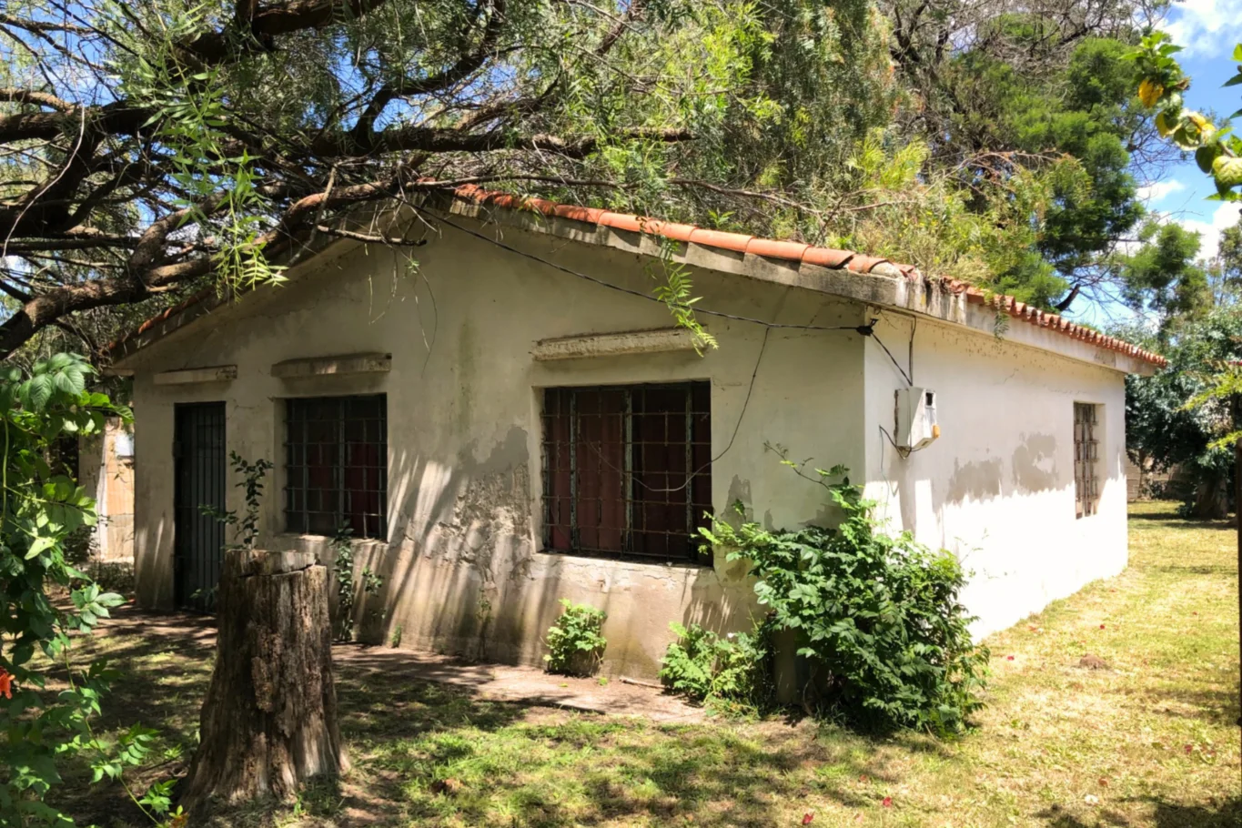 Terreno en San Luis, propiedad 285273 -Imagen 4
