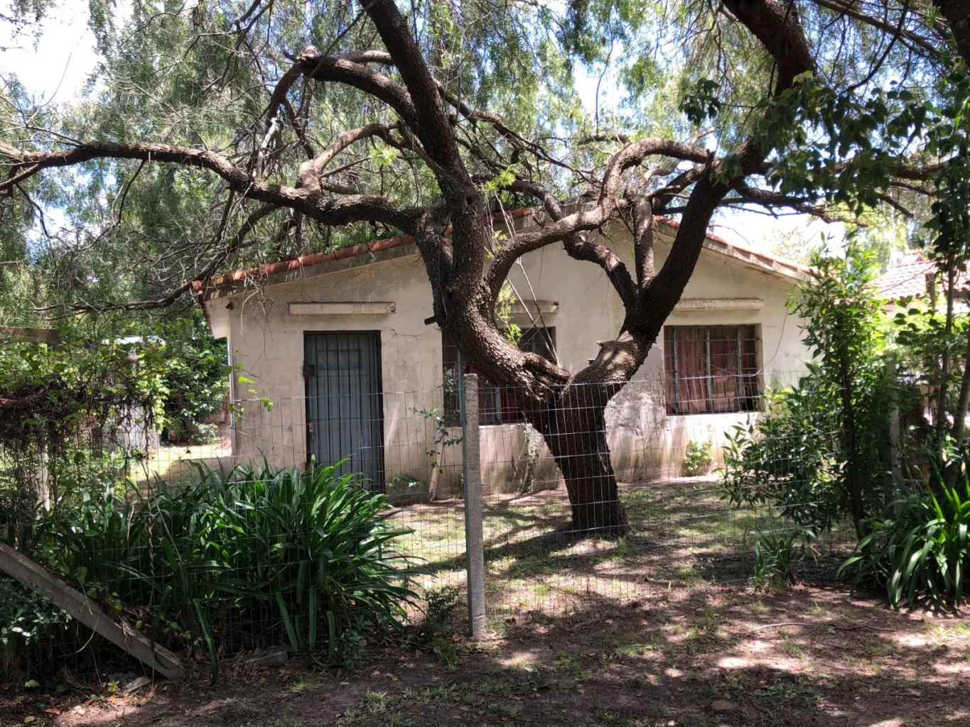 Terreno en San Luis, propiedad 285273 -Imagen 3