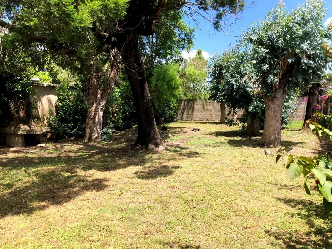 Terreno en San Luis, propiedad 285273 -Imagen 2